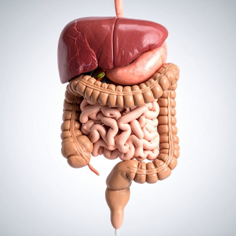 Enfermedades Colorectales
